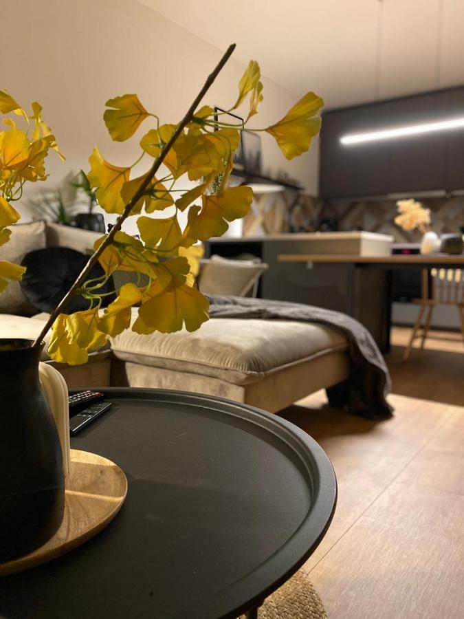 Boosko Me 2 Apartment Busko Zdroj Luaran gambar