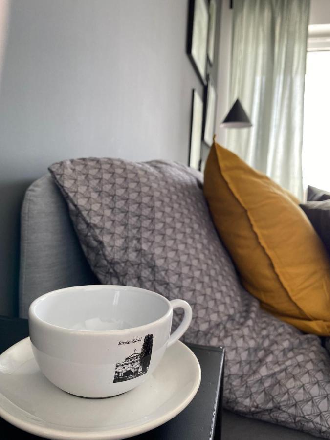 Boosko Me 2 Apartment Busko Zdroj Luaran gambar